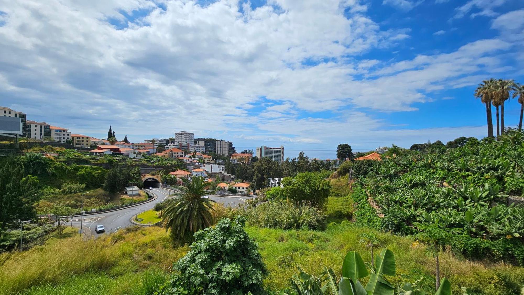Magnolia Residence Funchal Dış mekan fotoğraf